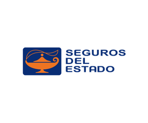25. SEGUROS DEL ESTADO